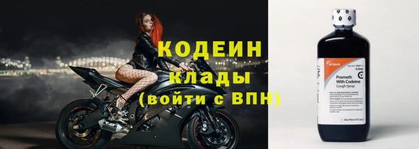 дживик Покров