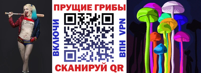 Псилоцибиновые грибы GOLDEN TEACHER  KRAKEN ссылка  Ладушкин 